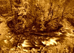 Sepia