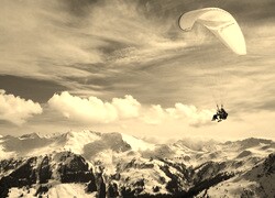 Szary + Sepia