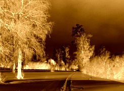 Sepia + Negatyw