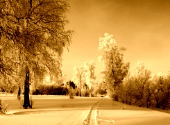 Sepia