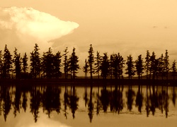 Sepia