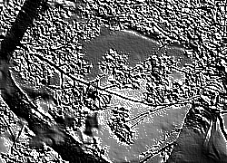 Skamielina