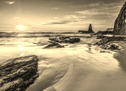 Szary + Sepia