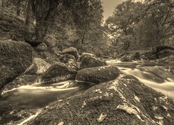 Szary + Sepia
