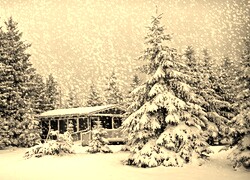 Sepia
