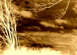 Sepia + Negatyw