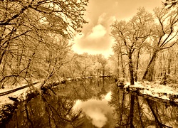 Sepia