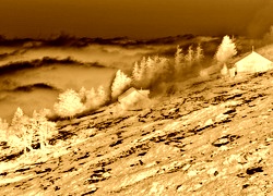 Sepia + Negatyw
