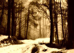 Sepia