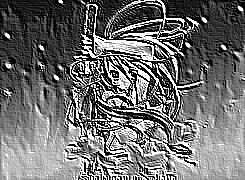 Skamielina