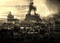 Szary + Sepia
