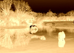 Sepia + Negatyw