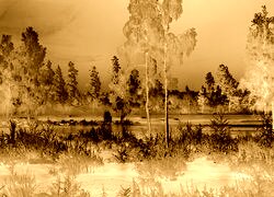 Sepia + Negatyw