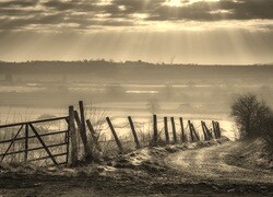 Szary + Sepia