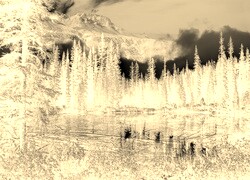 Sepia + Negatyw