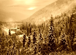 Sepia