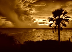 Sepia