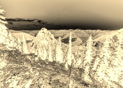 Sepia + Negatyw