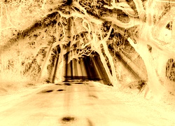 Sepia + Negatyw