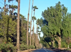 Oryginalny obrazek