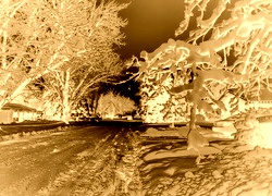 Sepia + Negatyw