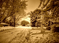 Sepia