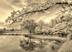 Sepia
