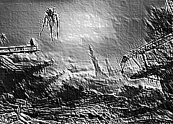 Skamielina