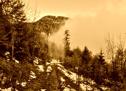 Sepia