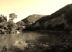 Sepia