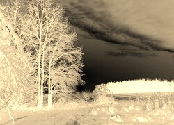 Sepia + Negatyw