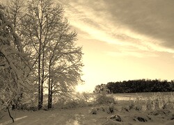 Sepia
