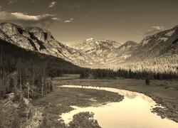 Szary + Sepia