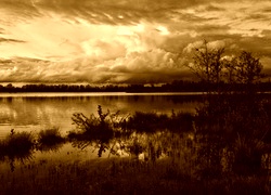 Sepia