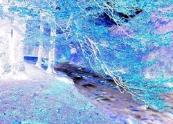 Negatyw