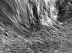 Skamielina