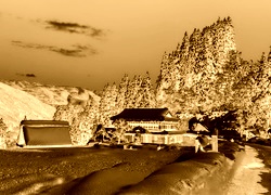 Sepia + Negatyw