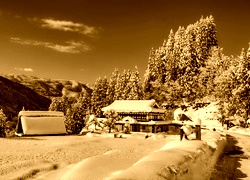 Sepia