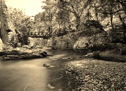 Szary + Sepia