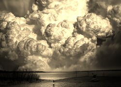 Szary + Sepia
