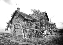 Szary + Sepia