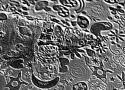 Skamielina