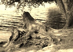 Sepia