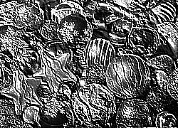 Skamielina