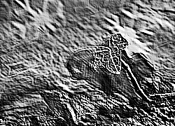 Skamielina