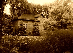 Sepia