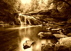 Sepia