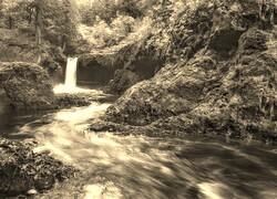 Szary + Sepia
