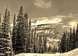 Sepia