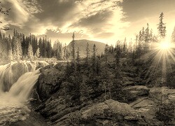 Szary + Sepia